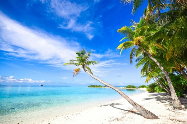 10 reasons to consider the explorer pass london for sightseeing